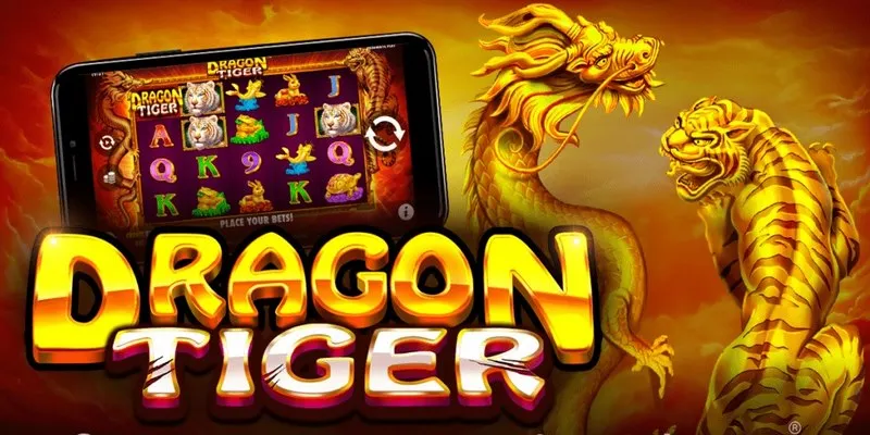 Review Cách Chơi Dragon Tiger Slot Cho Mọi Tân Thủ
