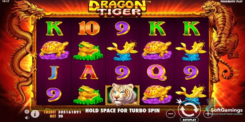 Làm sao để dễ ăn tiền khi chơi Dragon Tiger?